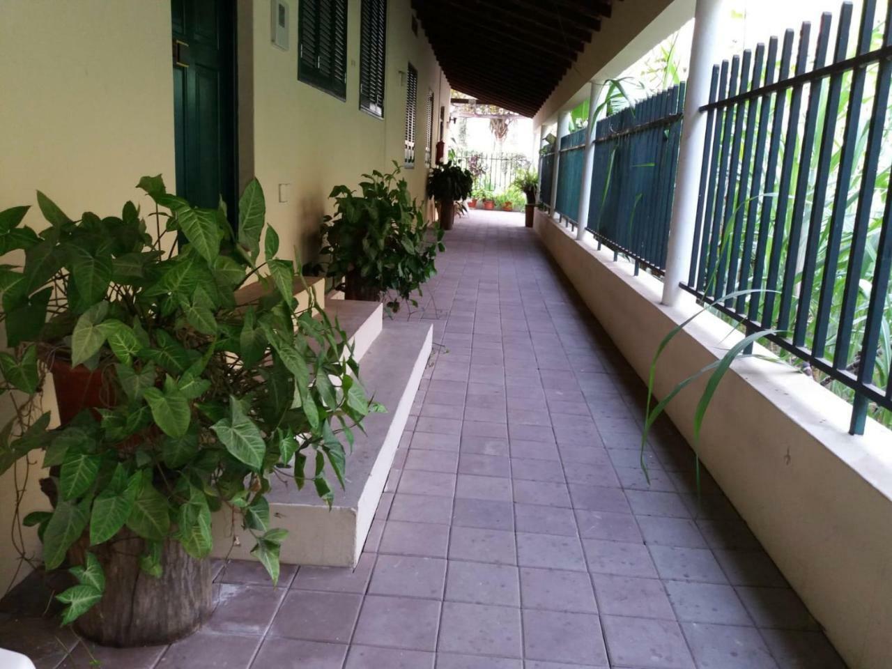 Ribeira Grande Country House Cha de Arroz Dış mekan fotoğraf