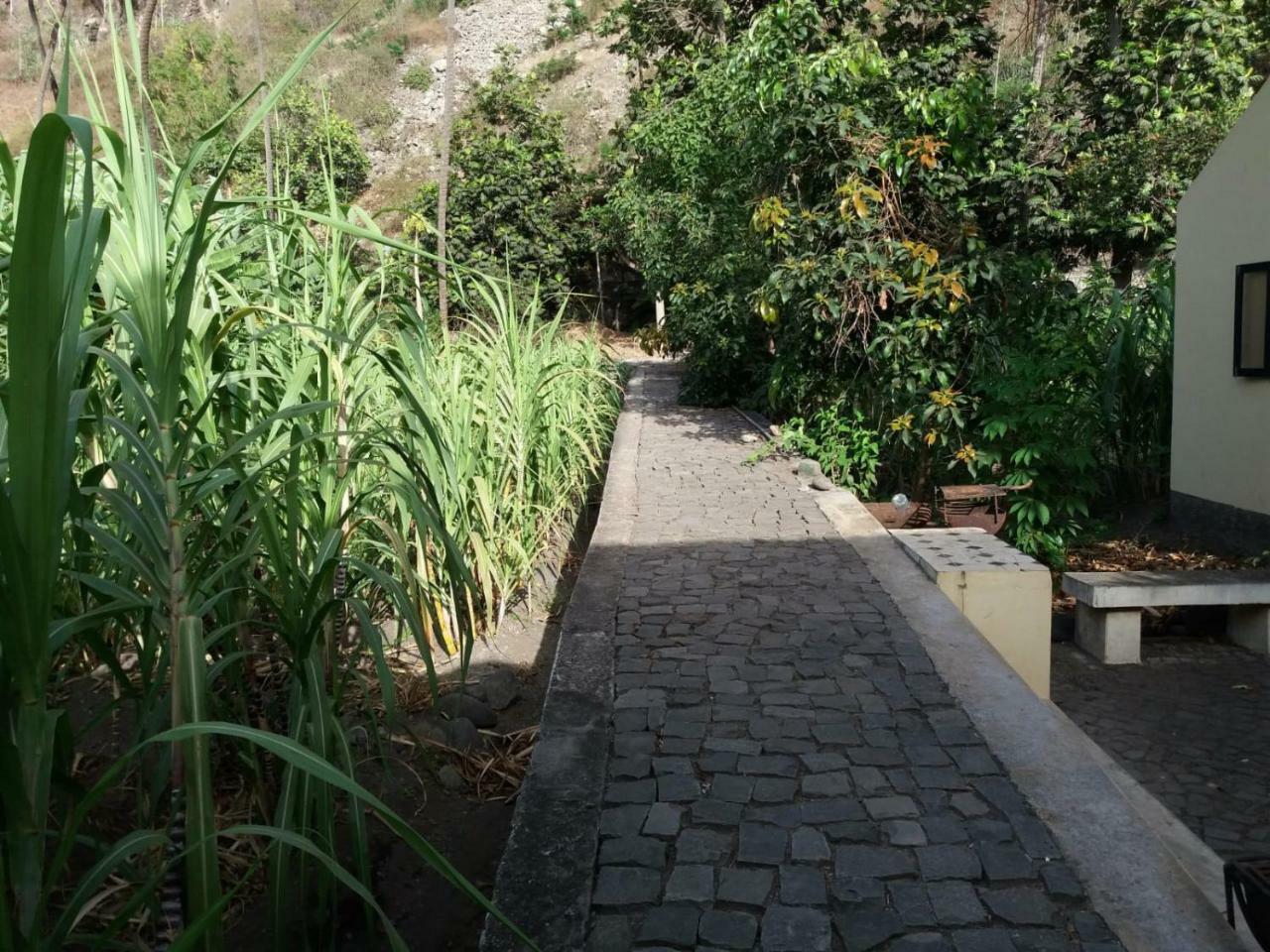Ribeira Grande Country House Cha de Arroz Dış mekan fotoğraf
