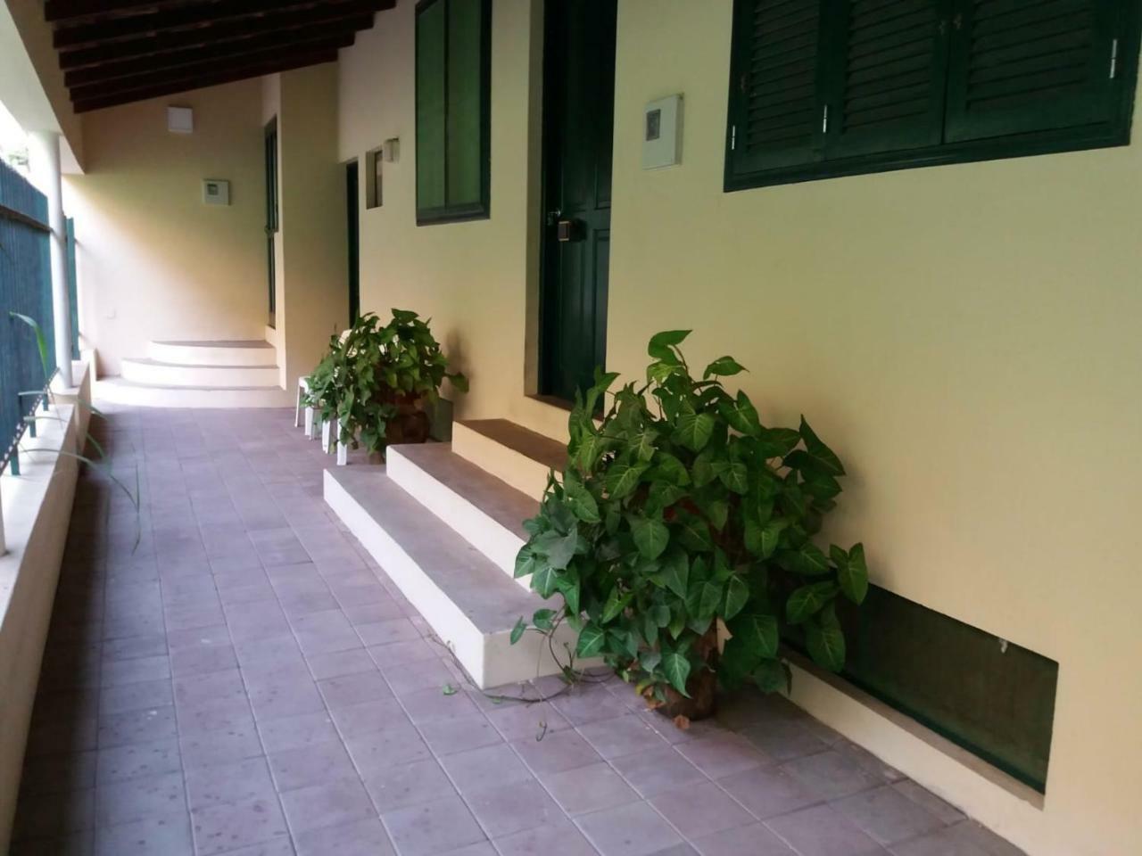 Ribeira Grande Country House Cha de Arroz Dış mekan fotoğraf