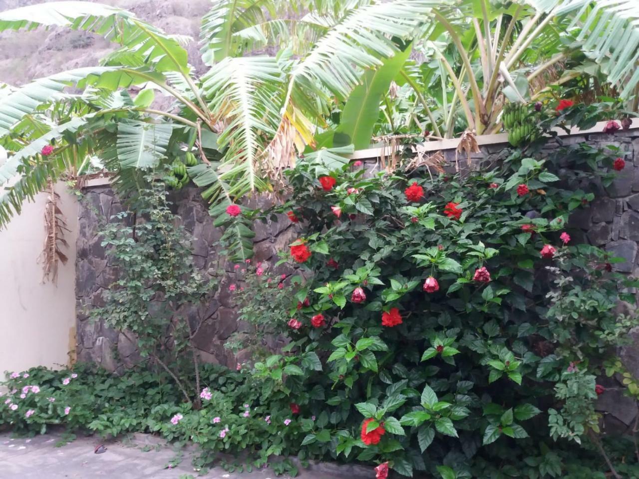 Ribeira Grande Country House Cha de Arroz Dış mekan fotoğraf