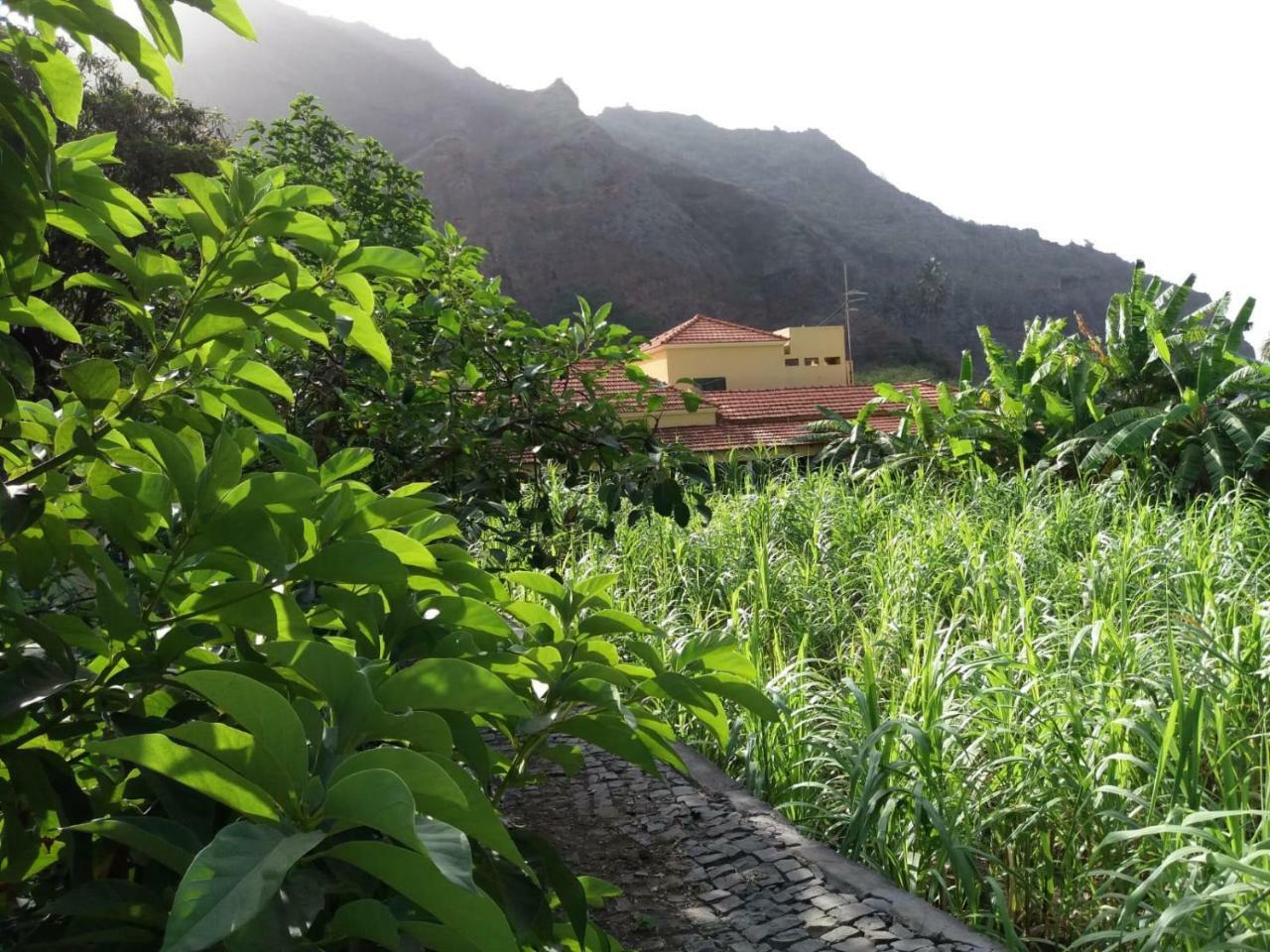 Ribeira Grande Country House Cha de Arroz Dış mekan fotoğraf